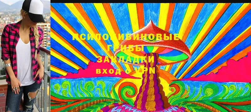 Галлюциногенные грибы Cubensis  наркота  Камешково 